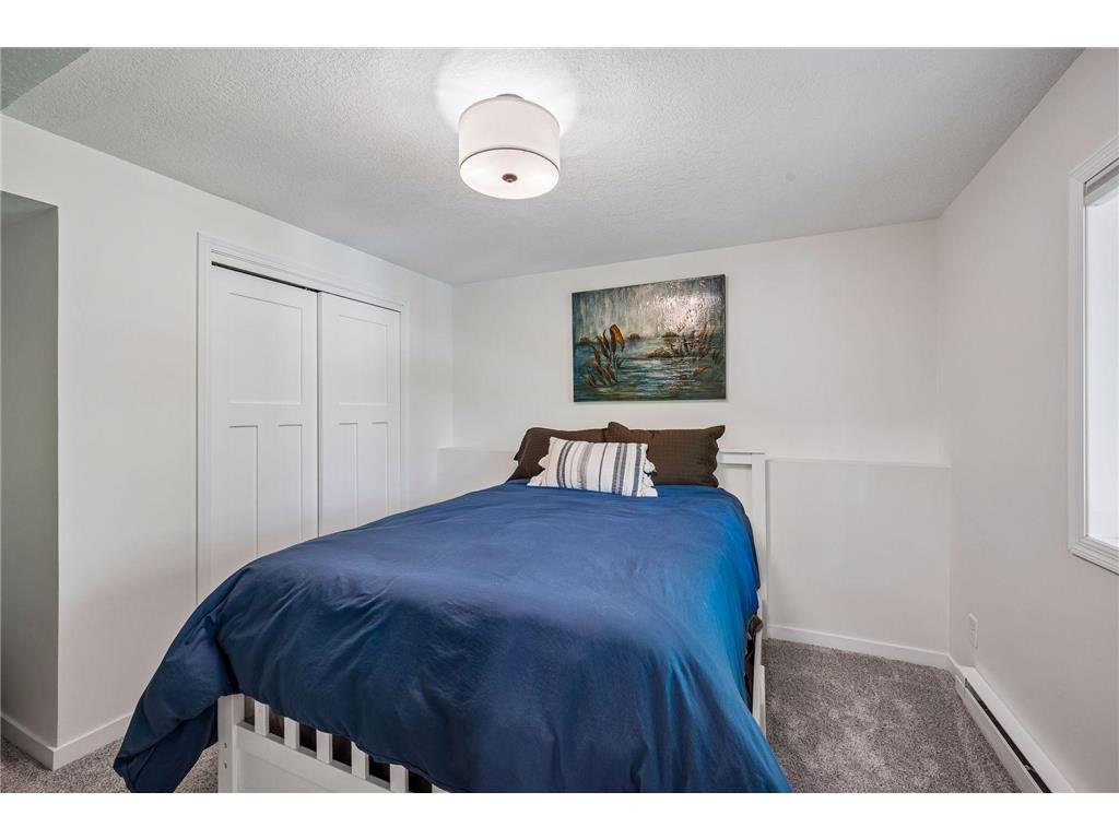 1233 Crofoot Avenue NW Chatham Twp MN 55313 - Abbie 7094486 image34