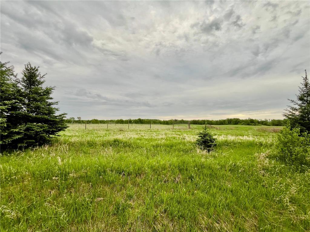 1234 CR 51 Balsam Twp MN 55709 7086717 image1