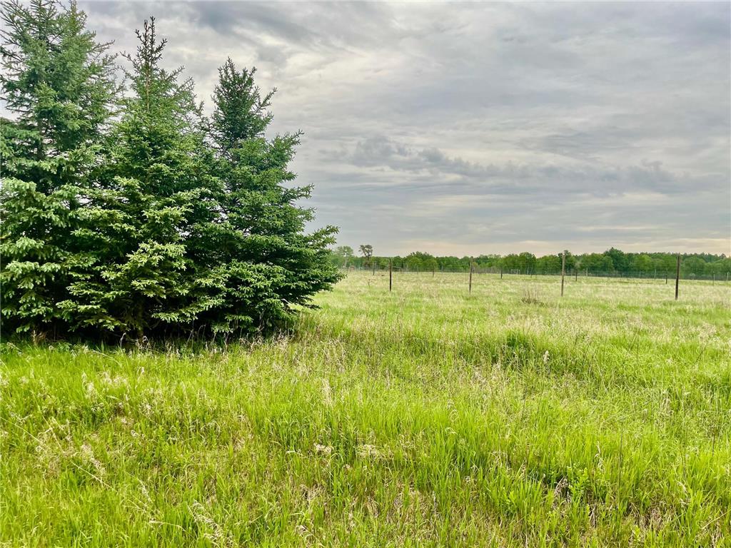 1234 CR 51 Balsam Twp MN 55709 7086717 image2