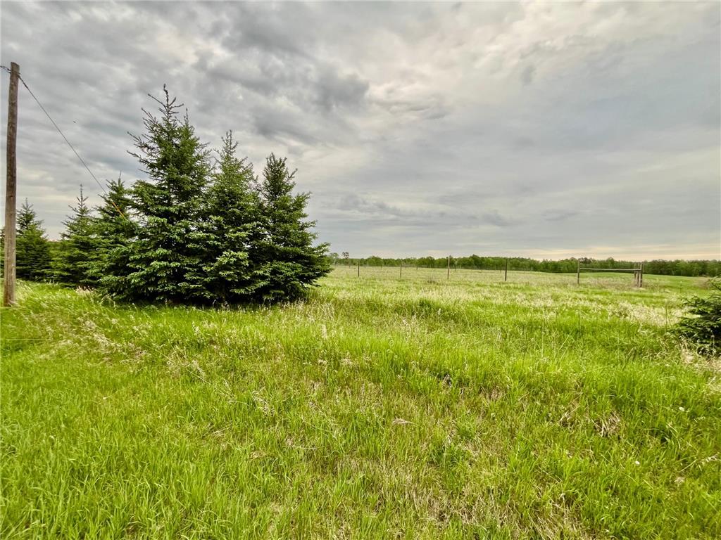 1234 CR 51 Balsam Twp MN 55709 7086717 image7