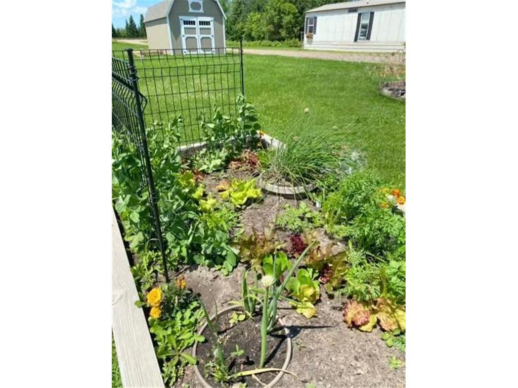 1234 King Road Ogilvie MN 56358 7056571 image8