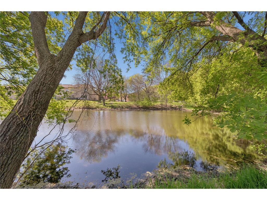 12345 Butternut Street NW Coon Rapids MN 55448 7064569 image35