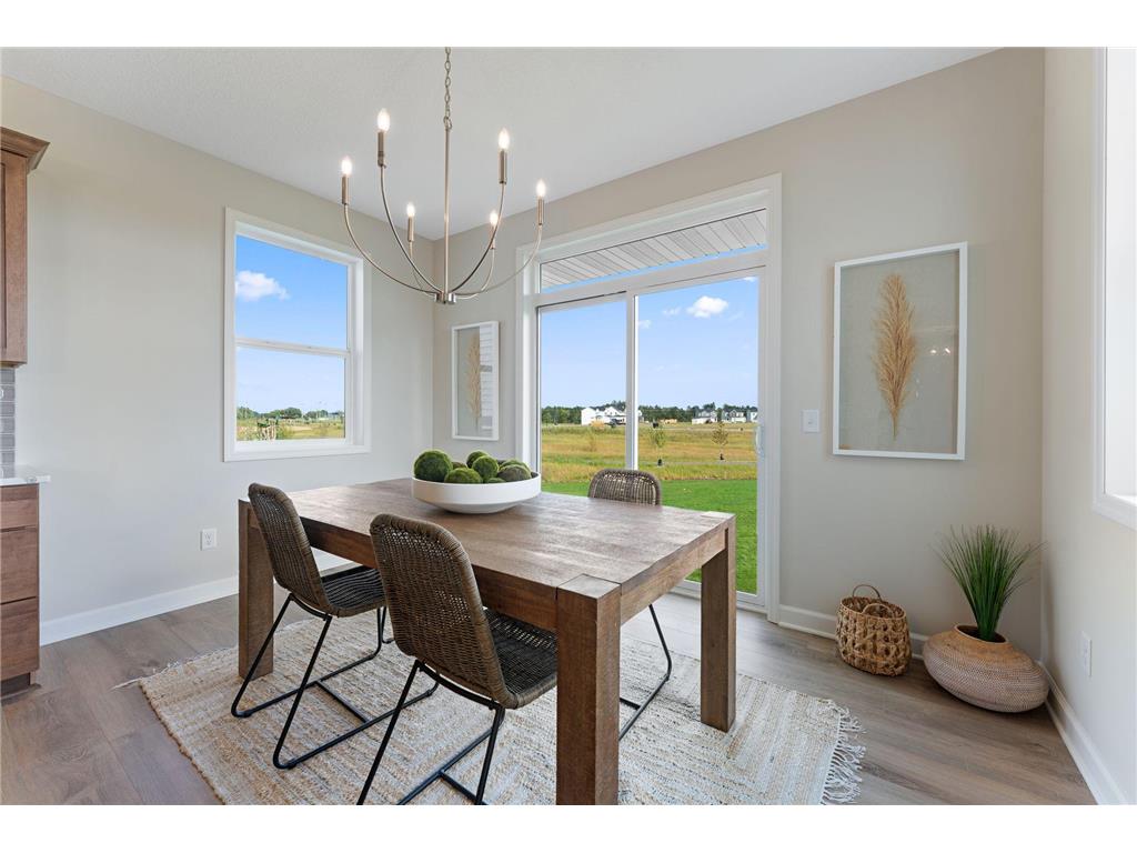 1235 Ardara Ridge Road Rosemount MN 55068 6777388 image13