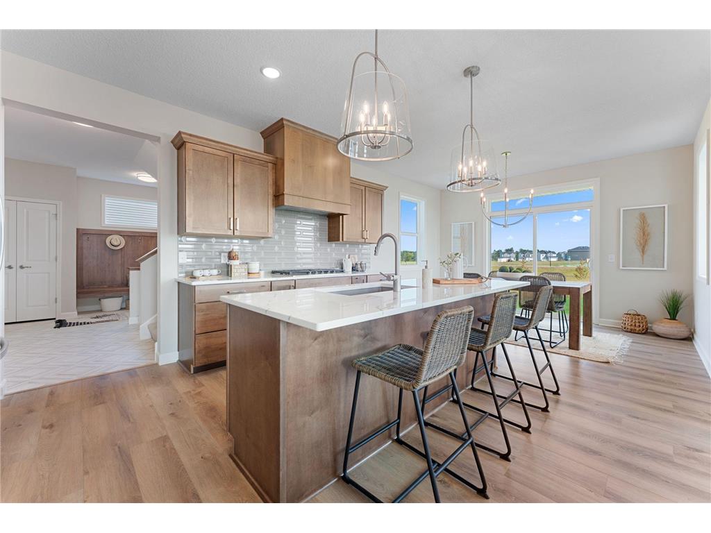 1235 Ardara Ridge Road Rosemount MN 55068 6777388 image15