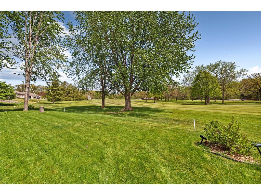 1235 Cherry Street Owatonna MN 55060 7073417 image10