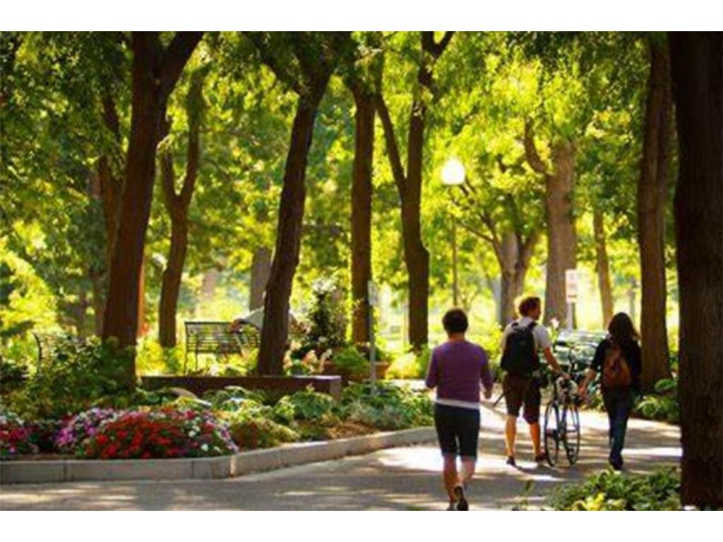 1235 Yale Place #1701 Minneapolis MN 55403 6763289 image43