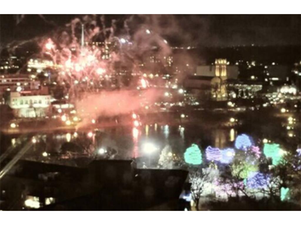 1235 Yale Place #1701 Minneapolis MN 55403 6763289 image54