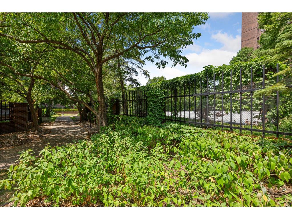 1235 Yale Place #1701 Minneapolis MN 55403 - Loring 7068433 image62