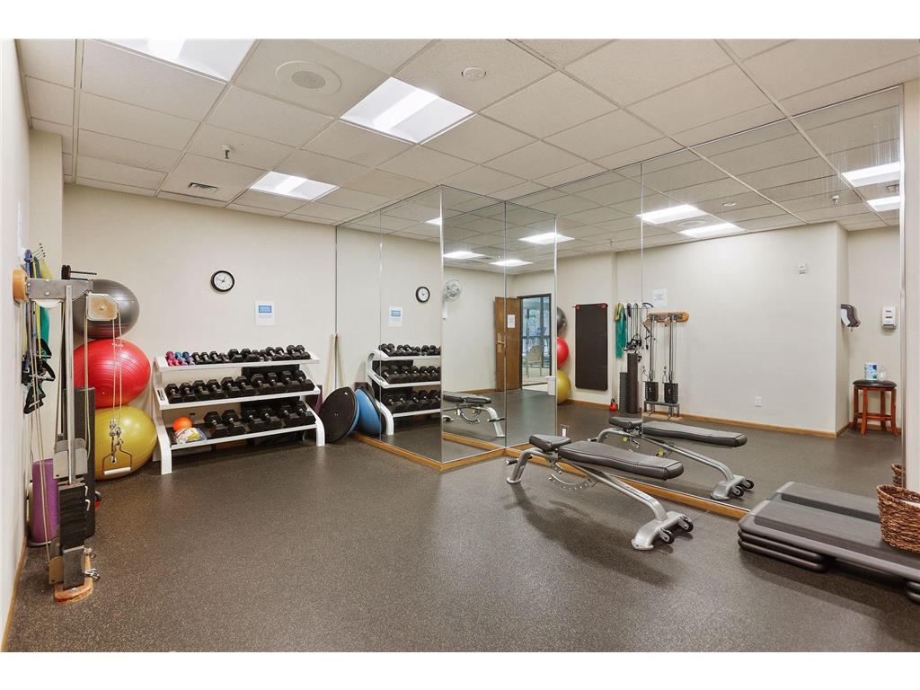 1235 Yale Place #1706 Minneapolis MN 55403 6824725 image48