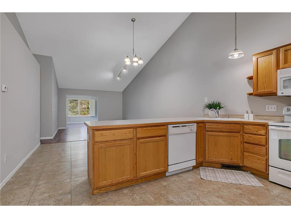 12363 Walnut Drive Rogers MN 55374 7071776 image7