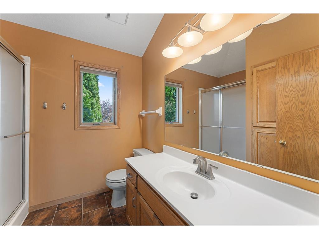 12366 Buckthorn Trail Rogers MN 55374 7060309 image21