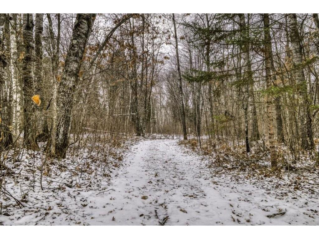 12375 Kenter Lane NE Bemidji MN 56601 7046185 image44