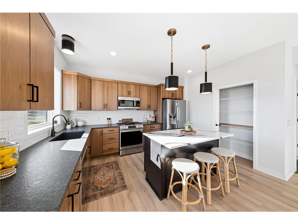 1239 Ardara Ridge Road Rosemount MN 55068 6777390 image17