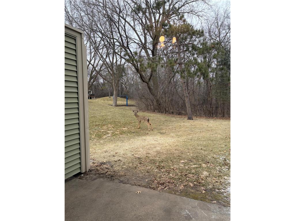 12393 Drake Street NW Coon Rapids MN 55448 7052845 image10
