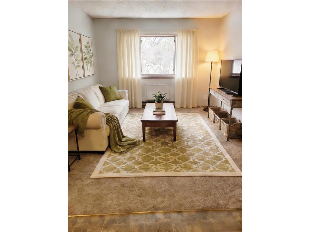 124 4th Avenue #8 Miltona MN 56354 7052947 image6