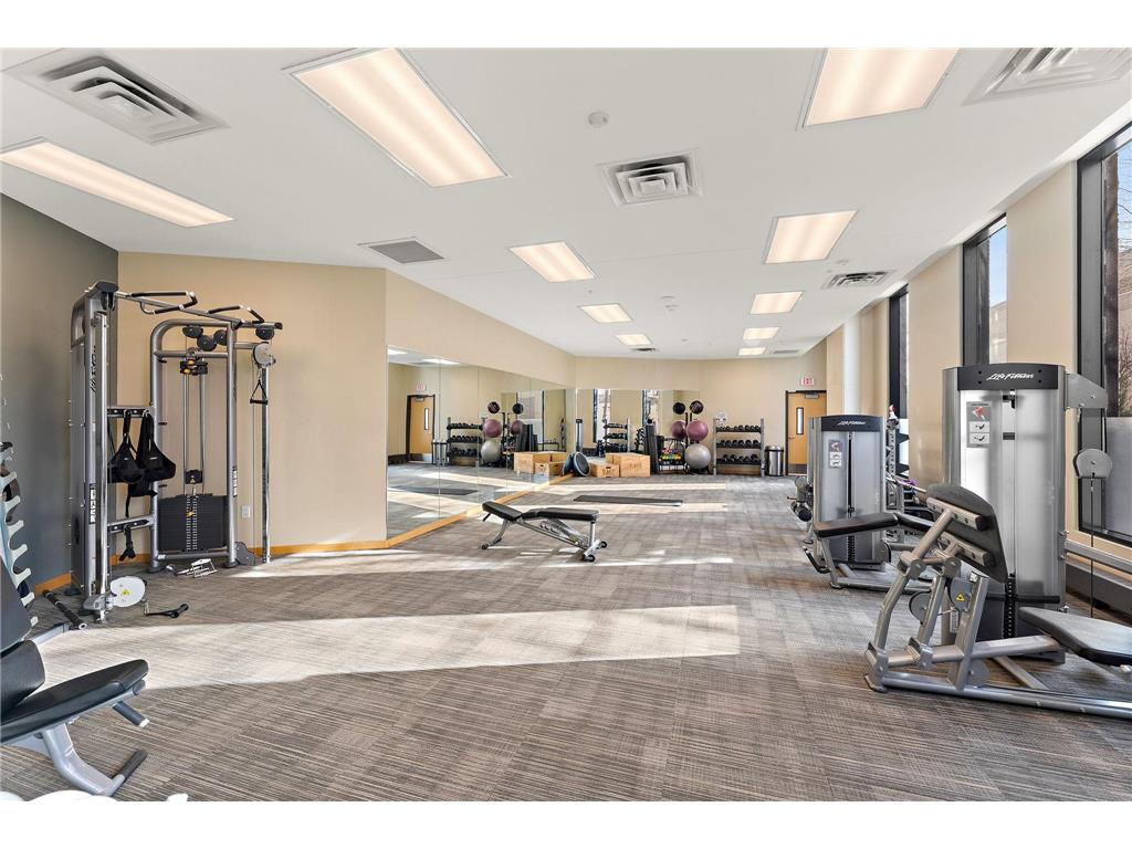 1240 2nd Street S #1226 Minneapolis MN 55415 7014685 image43