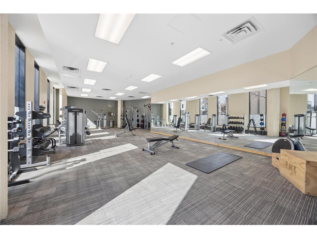 1240 S 2nd Street #1021 Minneapolis MN 55415 7035570 image23