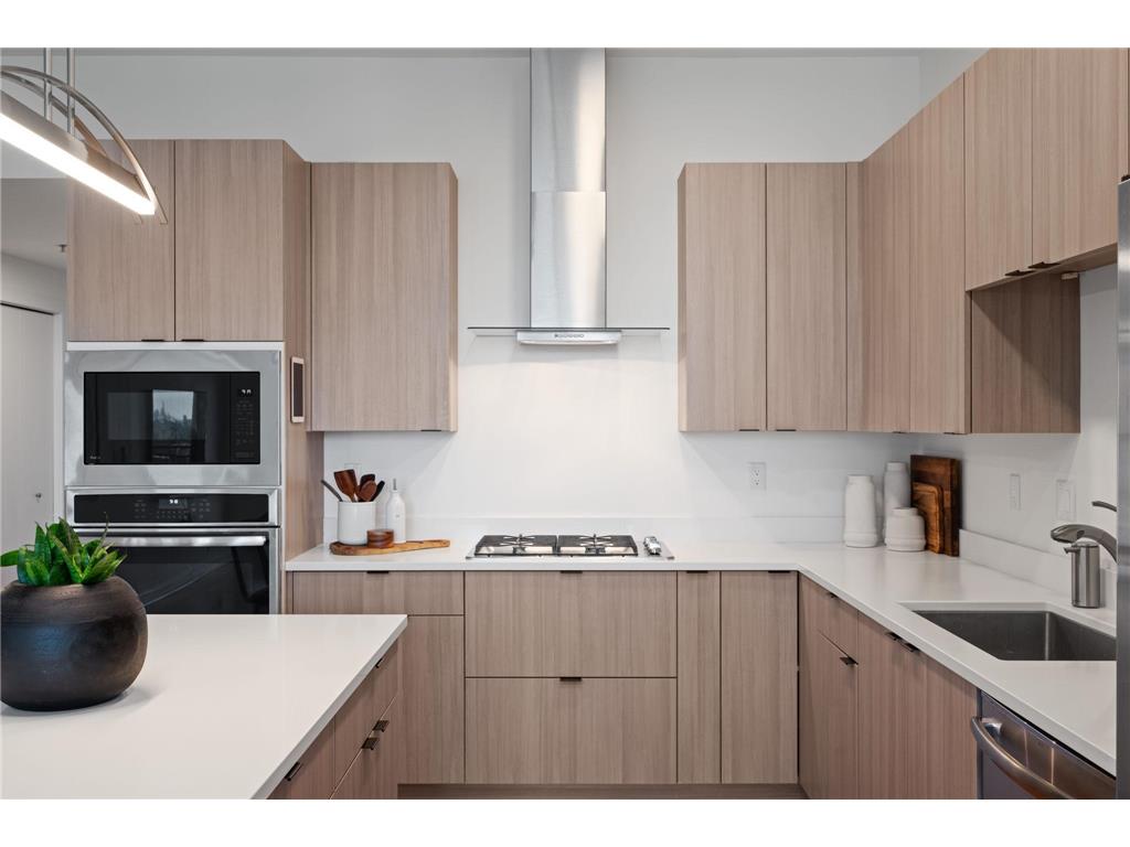 1240 S 2nd Street #1025 Minneapolis MN 55415 7072903 image3