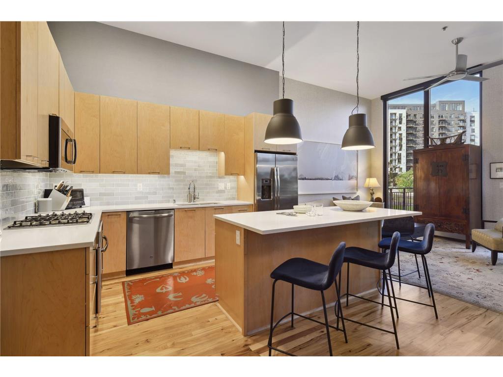 1240 S 2nd Street #106 Minneapolis MN 55415 6701889 image1