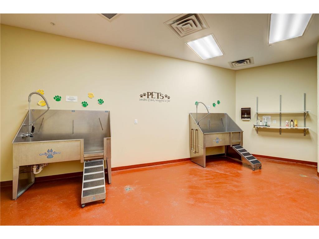 1240 S 2nd Street #109 Minneapolis MN 55415 7043804 image25