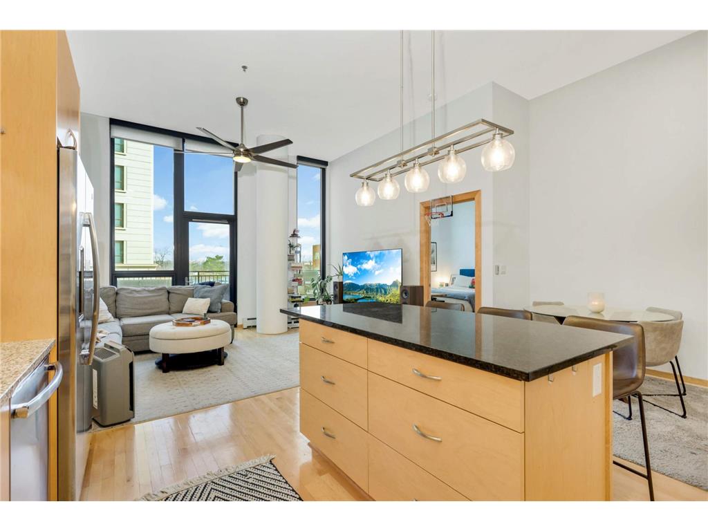 1240 S 2nd Street #110 Minneapolis MN 55415 7031628 image1
