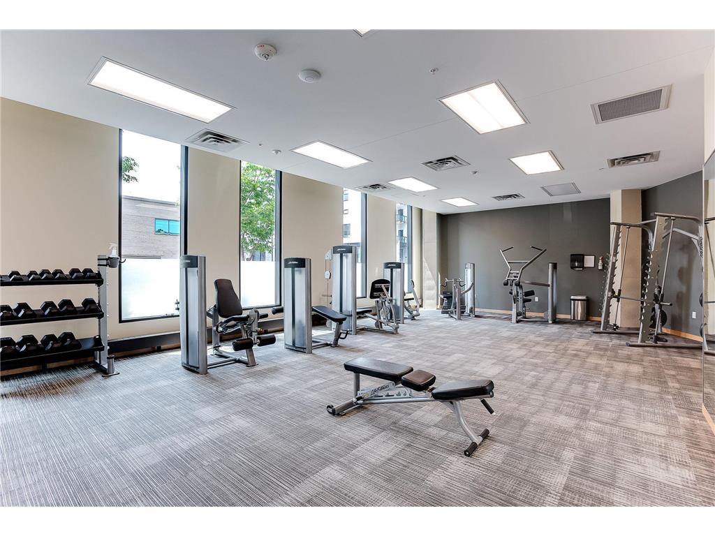 1240 S 2nd Street #110 Minneapolis MN 55415 7031628 image21