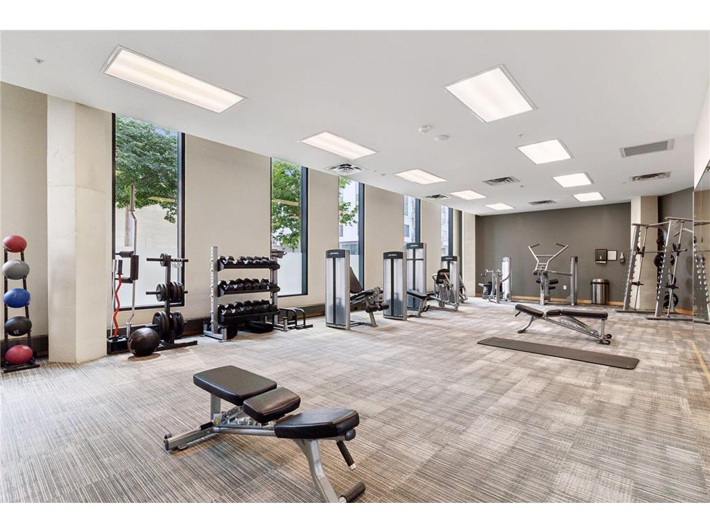 1240 S 2nd Street #1118 Minneapolis MN 55415 7052711 image47