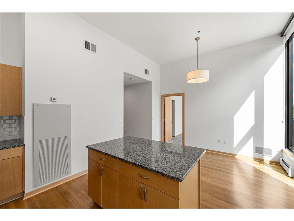 1240 S 2nd Street #119 Minneapolis MN 55415 7015190 image11