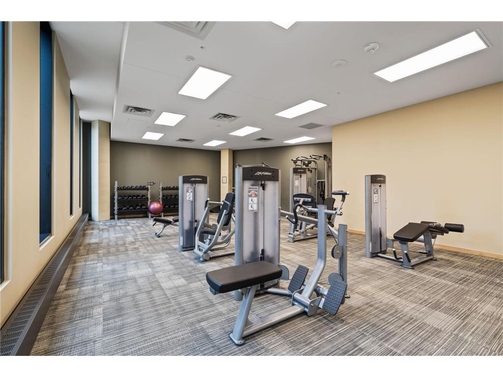 1240 S 2nd Street #119 Minneapolis MN 55415 7015190 image35