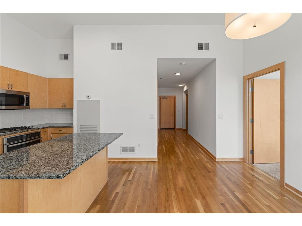 1240 S 2nd Street #119 Minneapolis MN 55415 7015190 image6