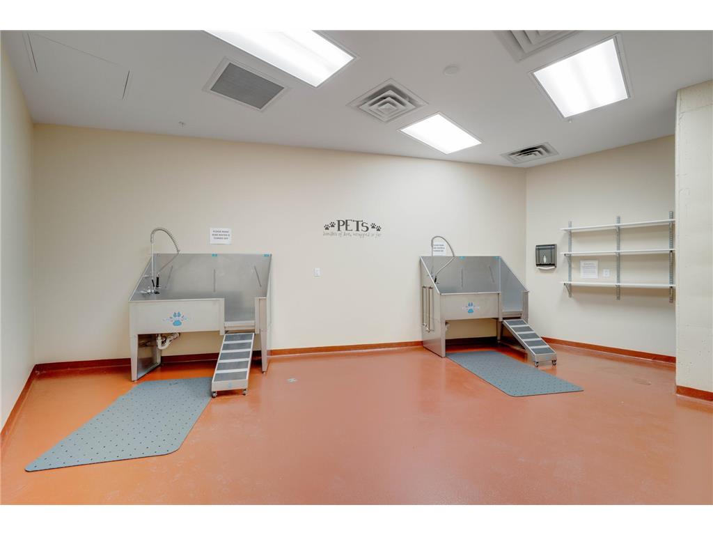 1240 S 2nd Street #1201 Minneapolis MN 55415 - Mississippi 7102781 image61