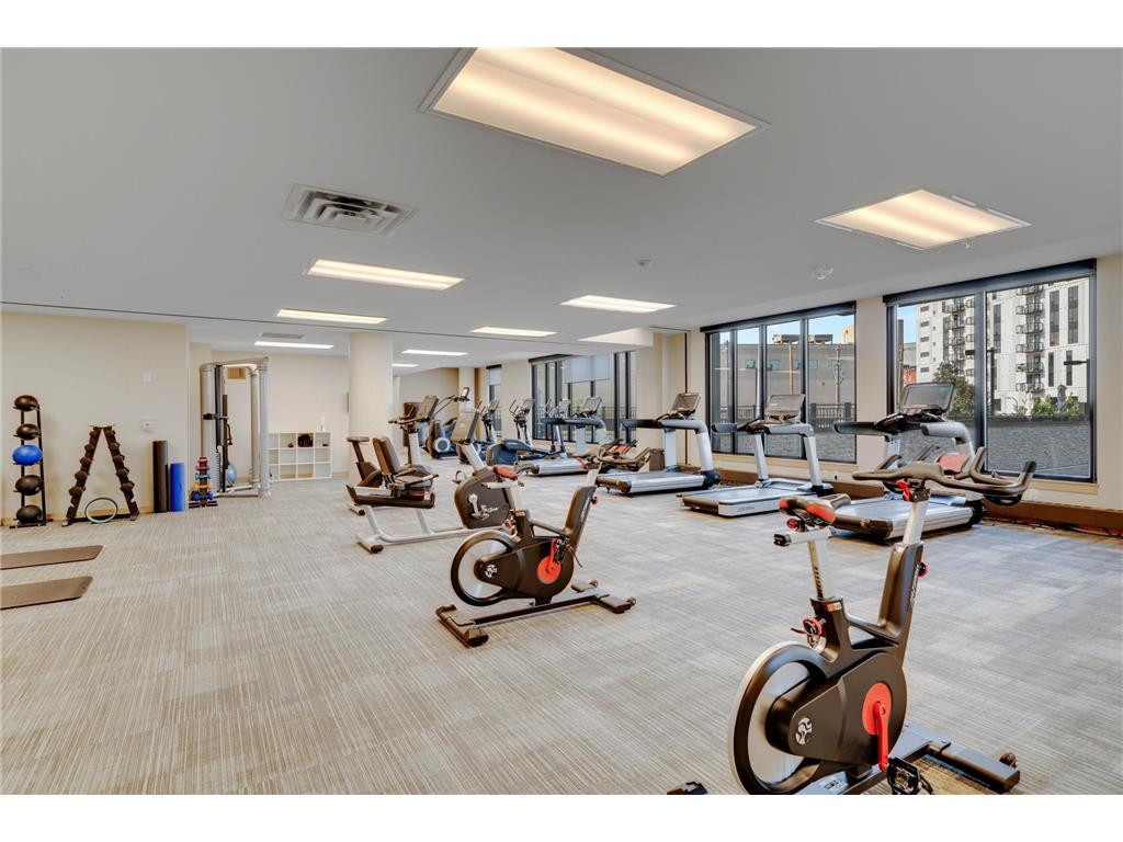 1240 S 2nd Street #1201 Minneapolis MN 55415 - Mississippi 7102781 image66