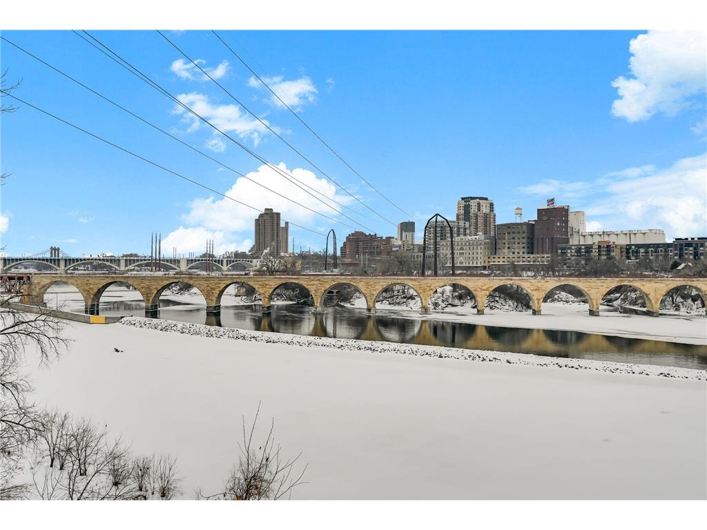 1240 S 2nd Street #604 Minneapolis MN 55415 7002424 image54