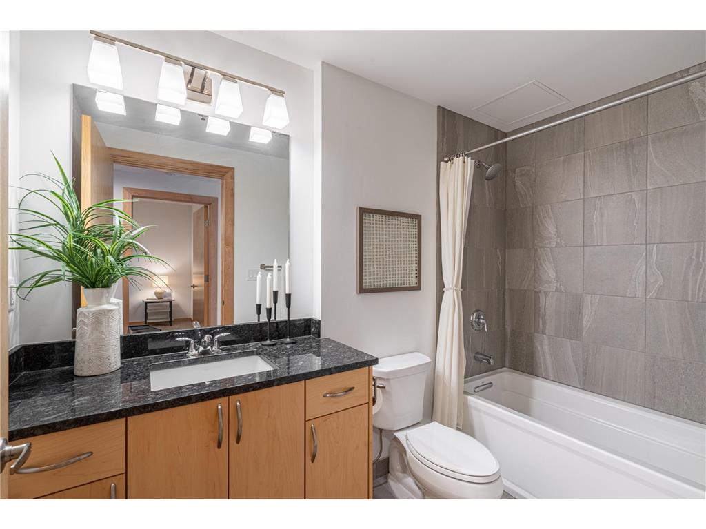 1240 S 2nd Street #709 Minneapolis MN 55415 7074380 image17