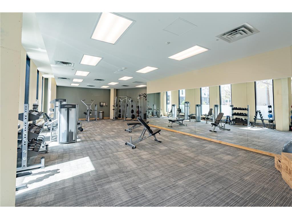 1240 S 2nd Street #709 Minneapolis MN 55415 7074380 image25