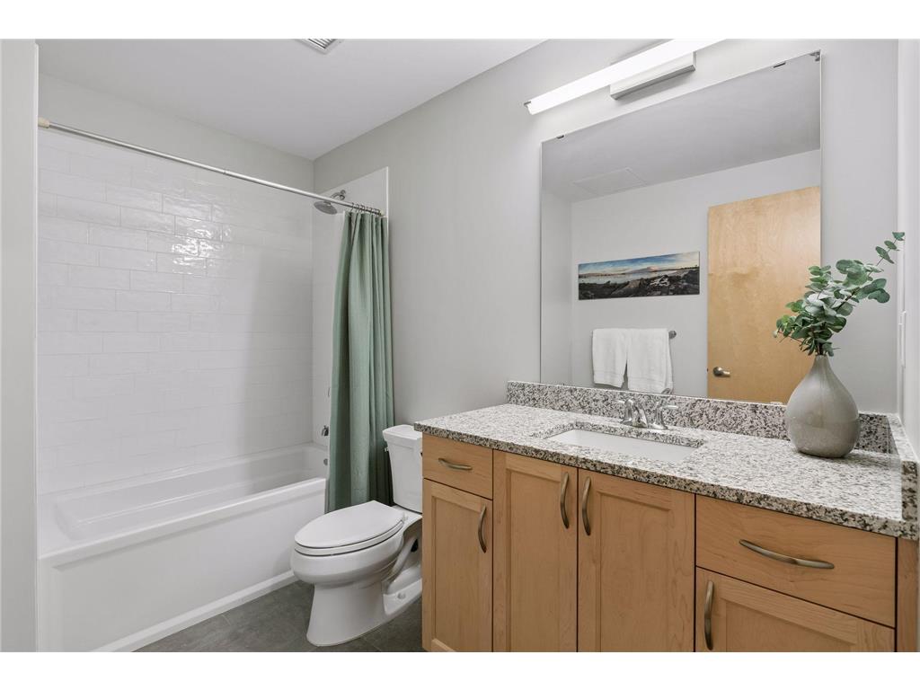 1240 S 2nd Street #716 Minneapolis MN 55415 7074778 image25
