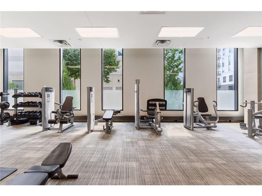 1240 S 2nd Street #716 Minneapolis MN 55415 7074778 image45