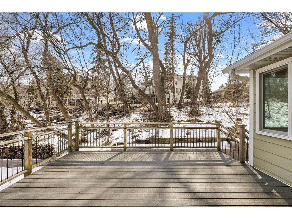 12405 45th Avenue N Plymouth MN 55442 7026889 image48