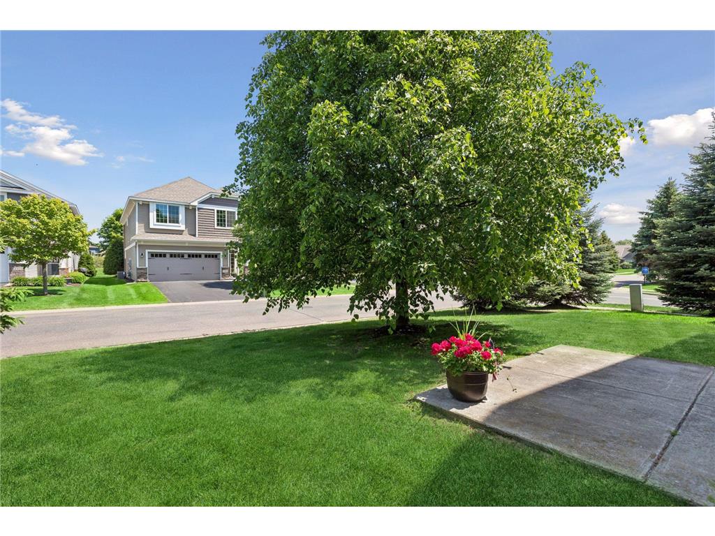 12405 Bataan Street NE Blaine MN 55449 7098166 image14