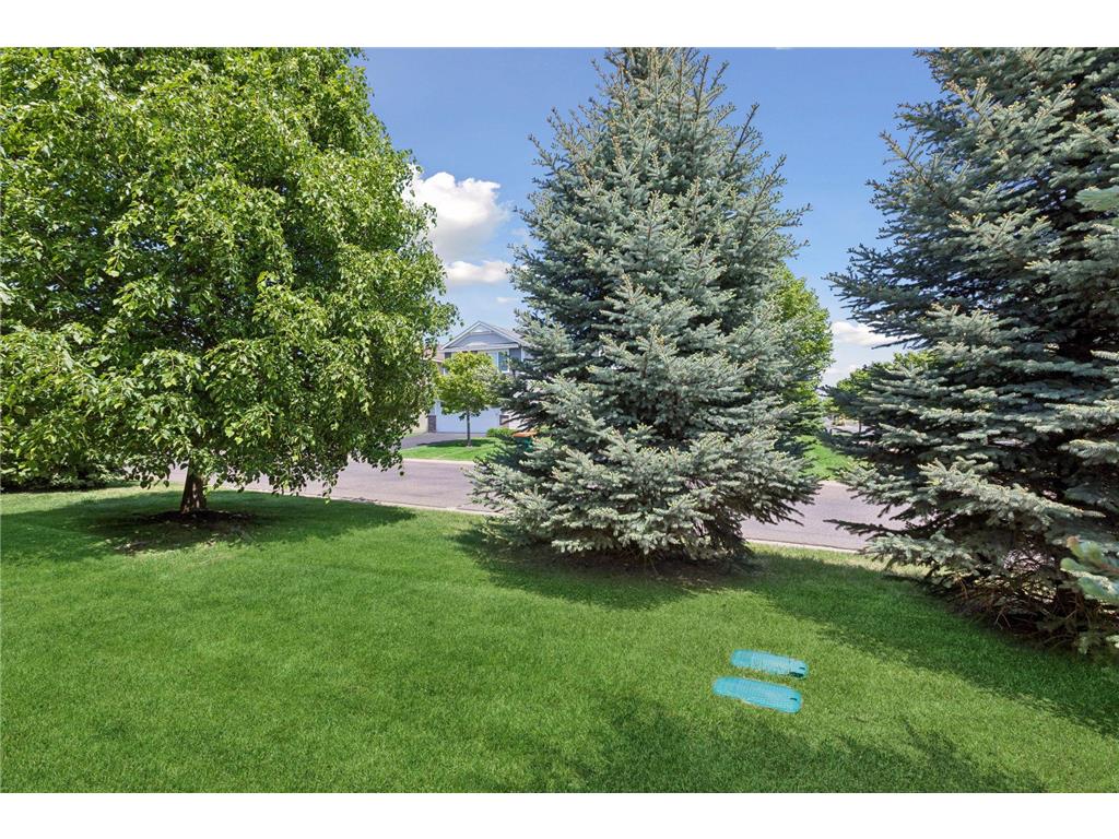 12405 Bataan Street NE Blaine MN 55449 7098166 image15