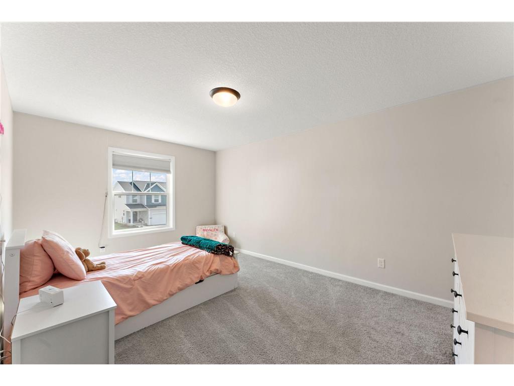 1241 Edge Way Jordan MN 55352 7061691 image49