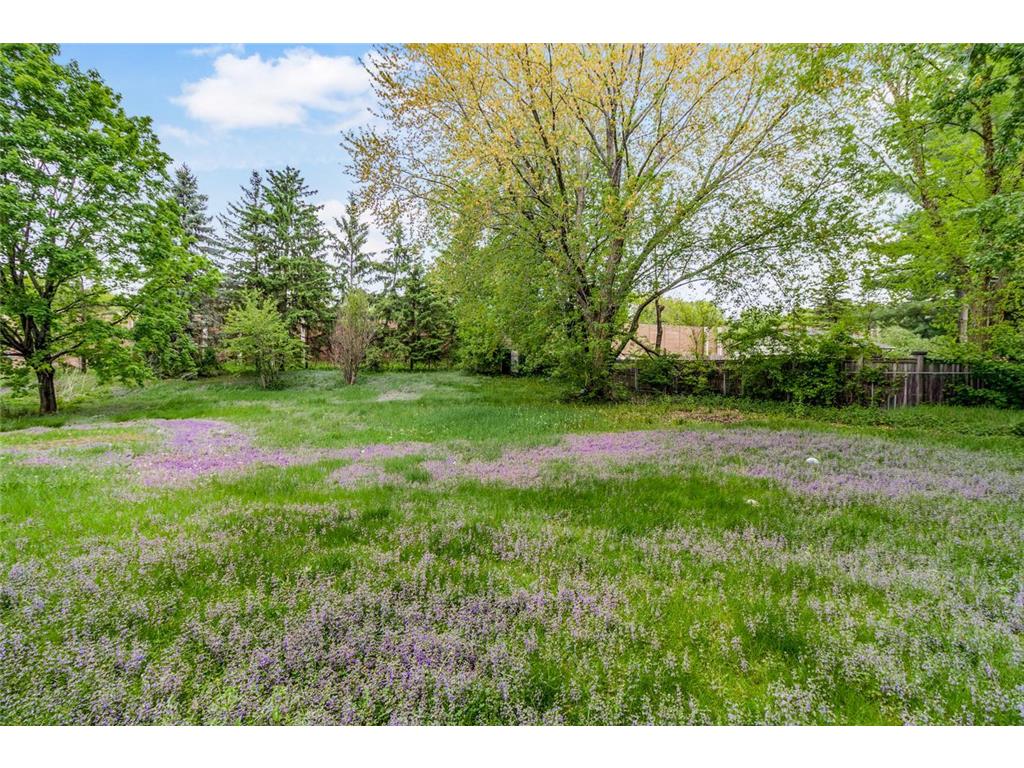 12413 Jay Street NW Coon Rapids MN 55448 7008983 image29