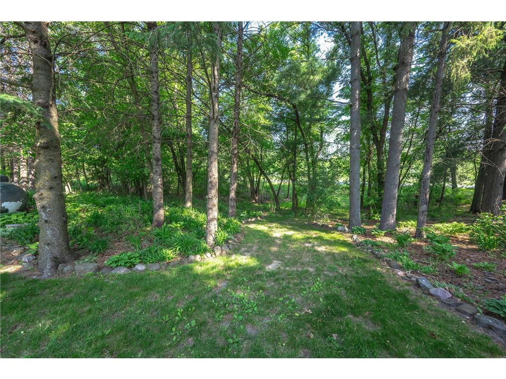 1242 58th Avenue Alden Twp WI 54001 7088069 image74