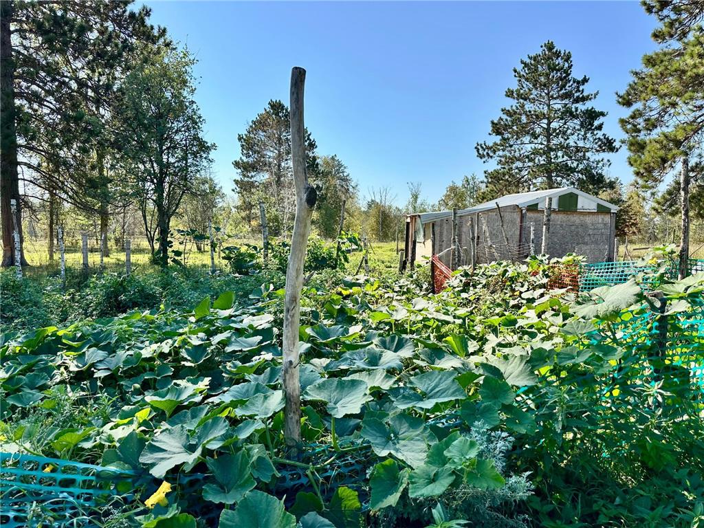 12435 340th Street Menahga MN 56464 6783731 image63