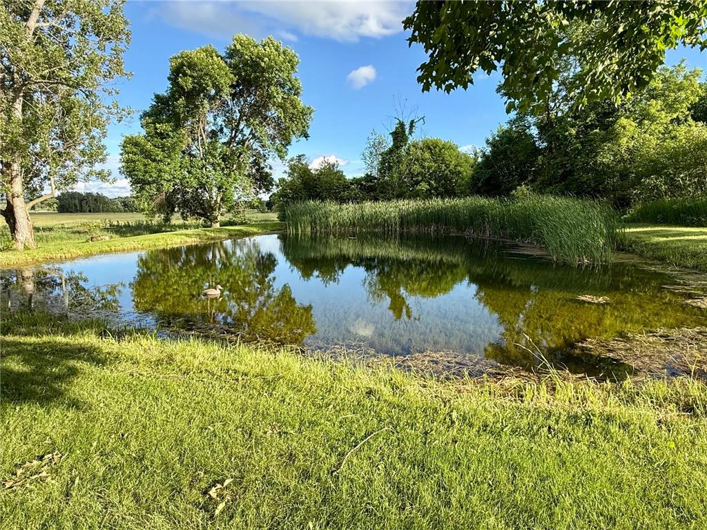 12456 10th Avenue Swanville MN 56382 7099168 image5