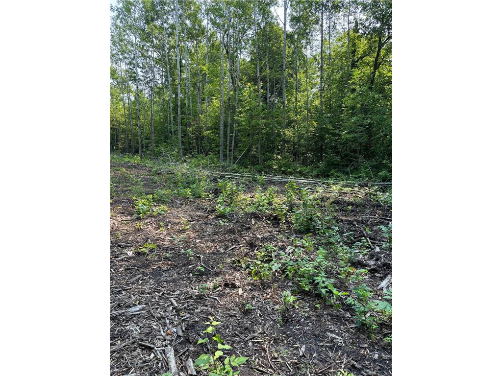 1246 Island Lake Resort Drive Island Lake Twp MN 56651 - Island Lake 6575495 image12