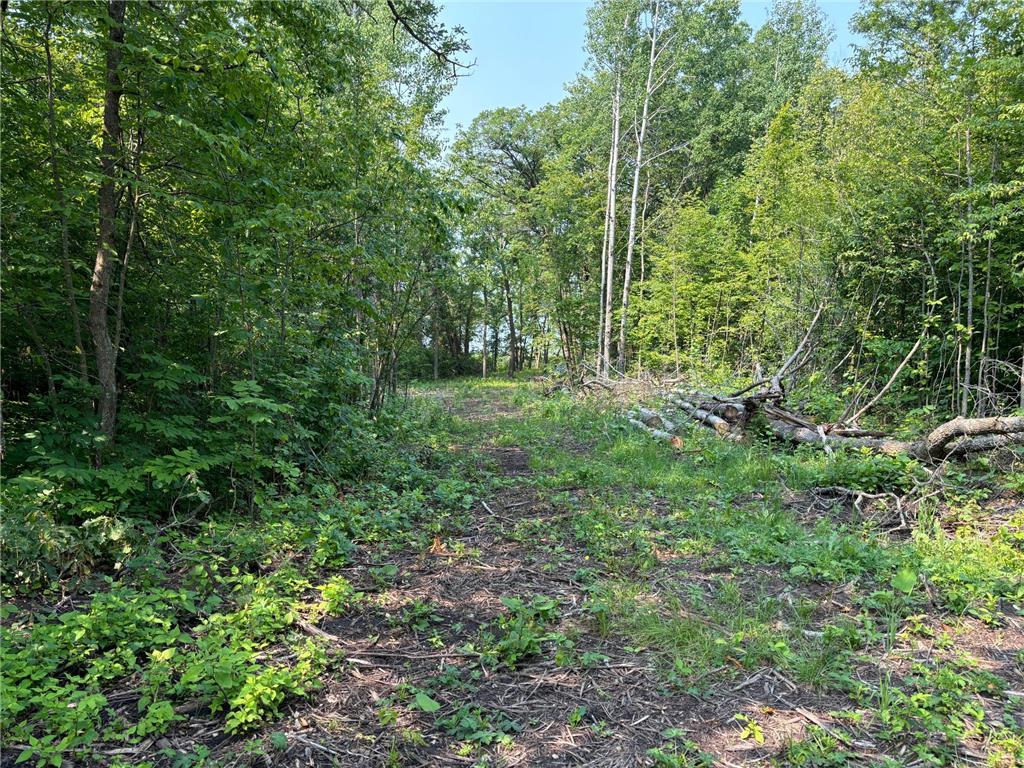 1246 Island Lake Resort Drive Island Lake Twp MN 56651 - Island Lake 6575495 image4