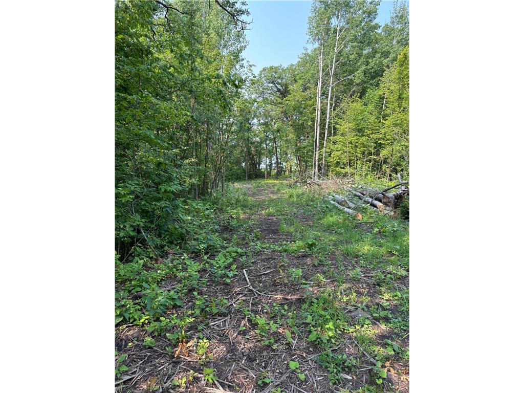 1246 Island Lake Resort Drive Island Lake Twp MN 56651 - Island Lake 6575495 image5