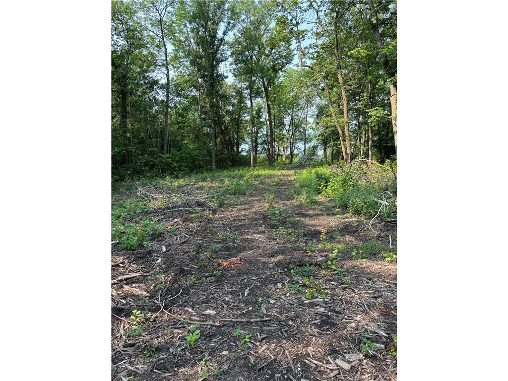 1246 Island Lake Resort Drive Island Lake Twp MN 56651 - Island Lake 6575495 image6