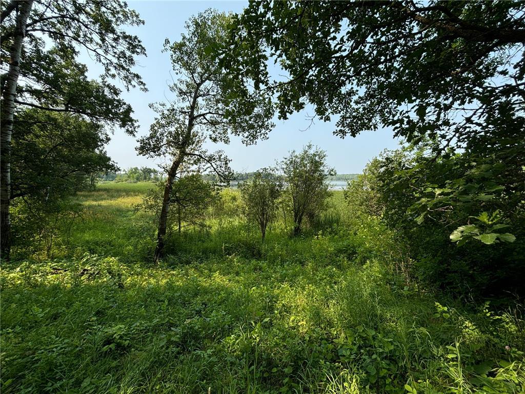 1246 Island Lake Resort Drive Island Lake Twp MN 56651 - Island Lake 6575495 image8